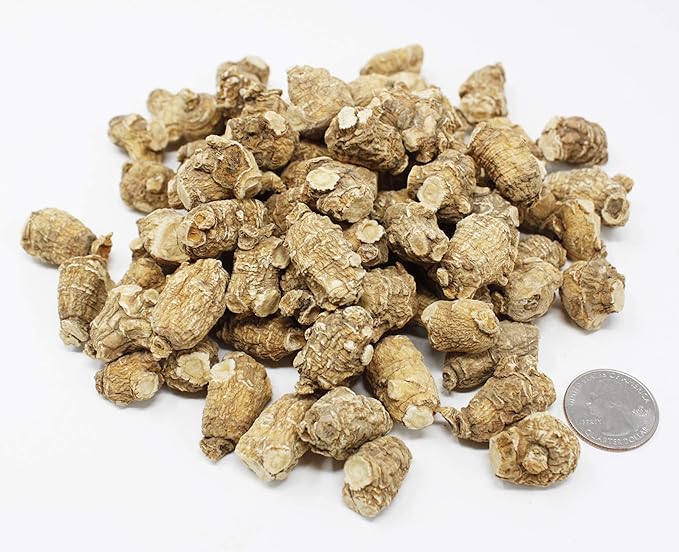 DOL Hand Selected Cultivated Wisconsin American Ginseng Pearl Ginseng 花旗参/西洋参 精选珍珠参 - in Box. (Small 4oz/Box*2)