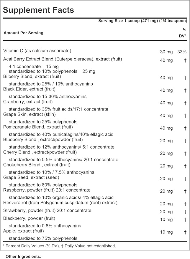 ANDREW LESSMAN Fruit Full Anti-Oxidant Extracts Powder 600 Servings - 14 Natural Fruit and Berry Extracts. Bilberry, Cranberry, Grape Seed, Pomegranate, Resveratrol, and More.