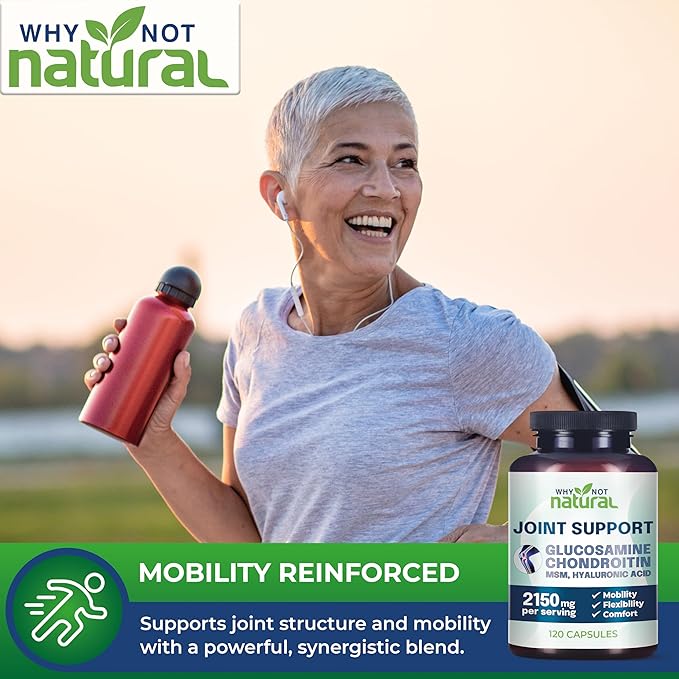 Why Not Natural Glucosamine Chondroitin, MSM, Joint Support Supplements - Knee Pain Joints Health Suppplement