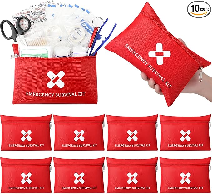 Geiserailie 10 Bags Small First Aid Kit Mini Travel Size Emergency Kit Bulk Self Care Package Supplies for Homeless Travel Sports Hiking Outdoor Backpack Essentials,10 Individual Bags of 91 Items Each