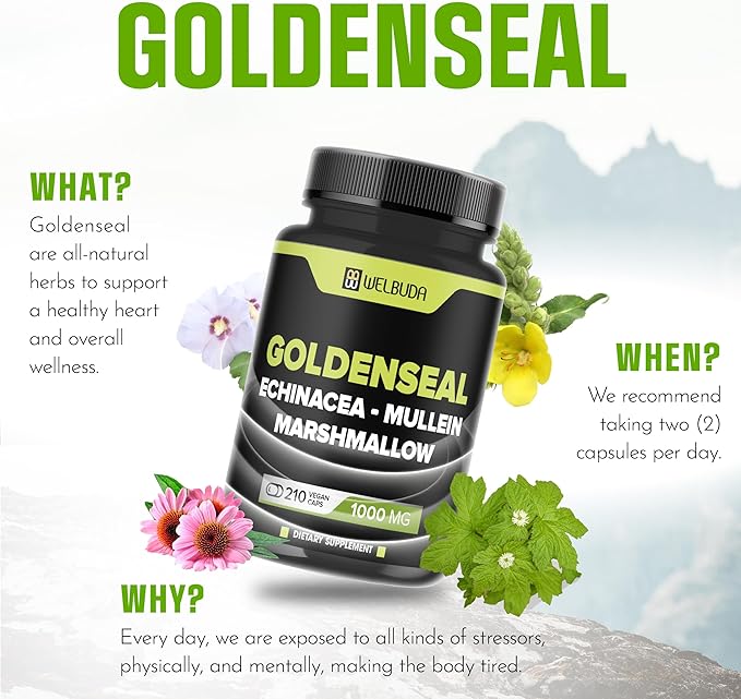 210 Capsules - Goldenseal Capsules Extract 10:1 with Echinacea, Mullein Leaf, Marshmallow - Combined Formula for Immunity, Respiratory Health, Digestion, Overall Well-Being, Body Management Support