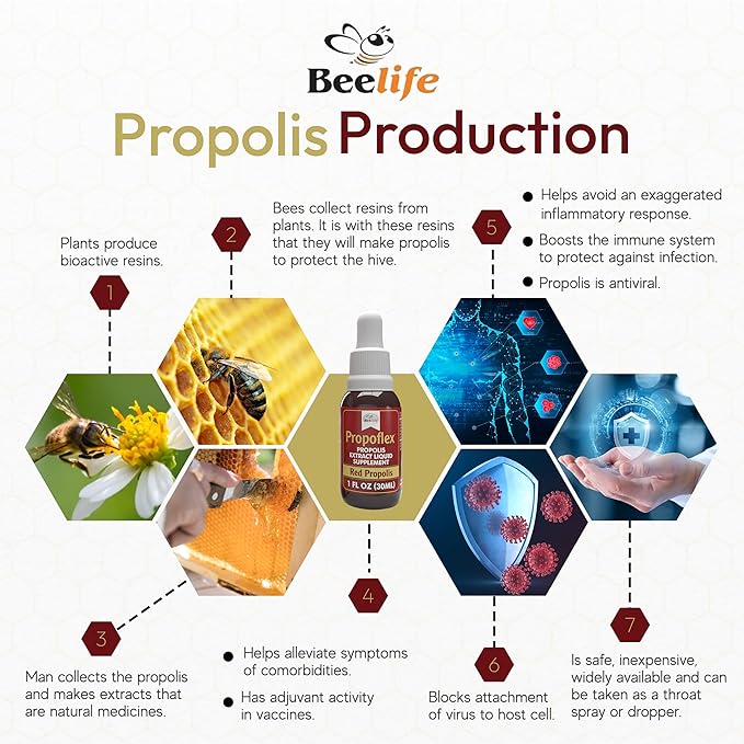 Beelife Red Bee Propolis Extract,100% Pure Extract Bee Propolis Tincture, High Artepillin-C Levels - Natural Immune Support- from Brazil, Certified ISO 22000, Kosher (30ml/ 1Fl.Oz)