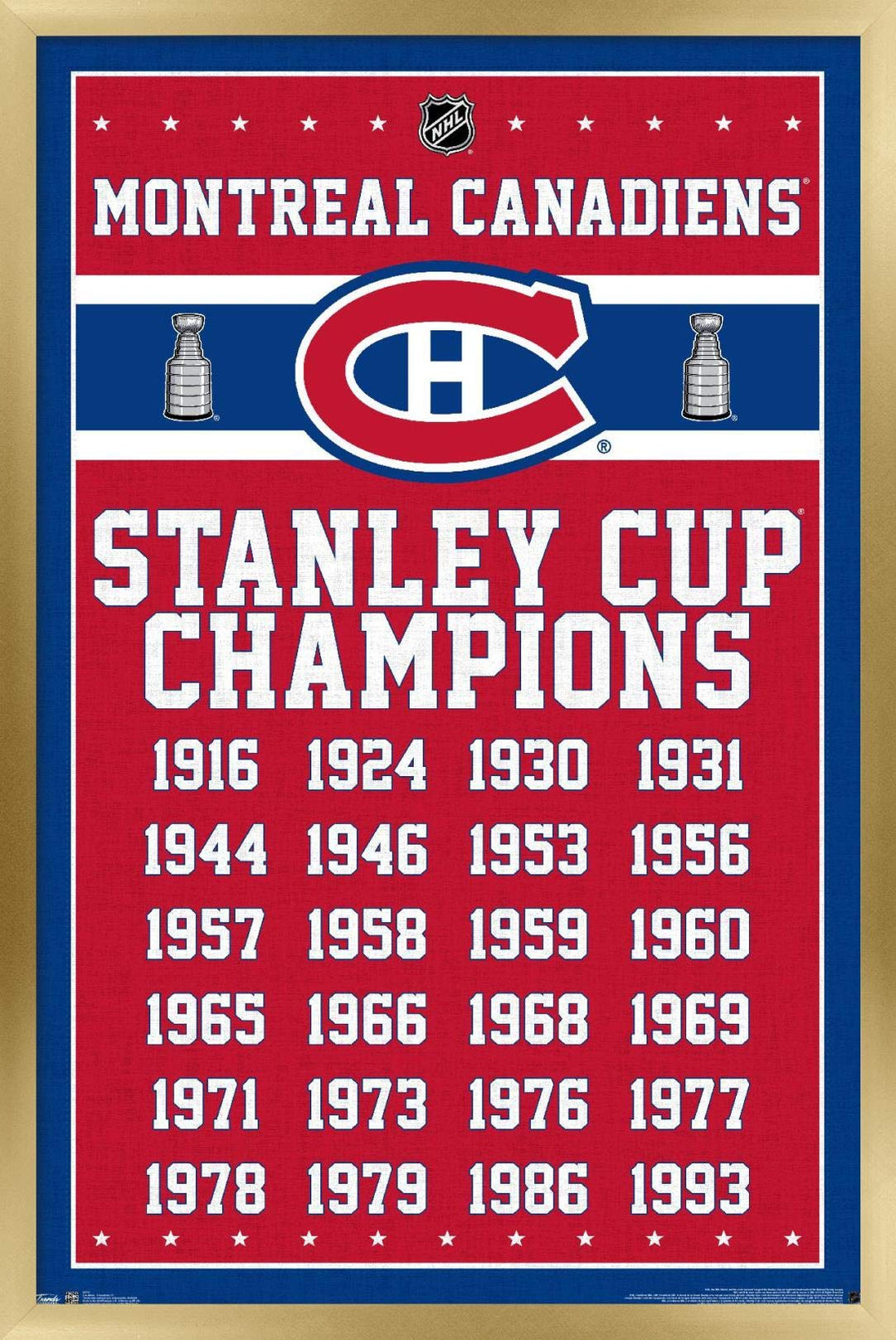Trends International NHL Montreal Canadiens Champions 13 Wall Poster, 14.725" x 22.375", Gold Framed Version