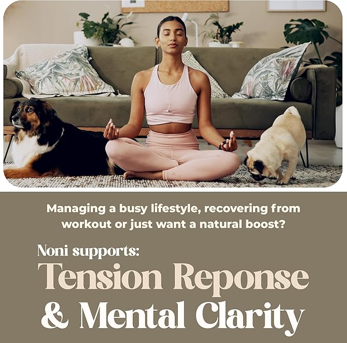 American Nutriceuticals – Noni – 60 Capsules – Powerful Adaptogen for Balanced Energy – 100% Whole Fruit Powder