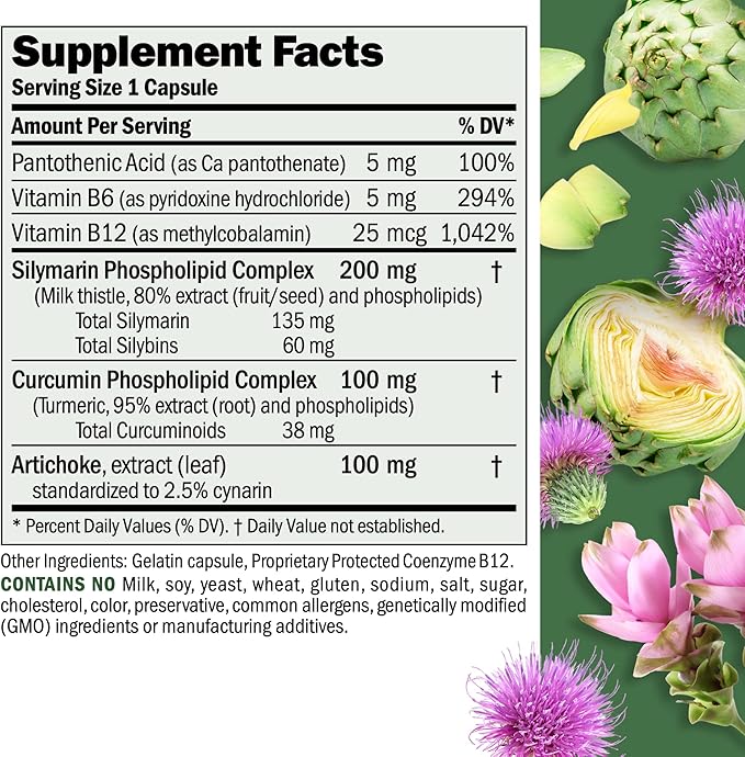ANDREW LESSMAN Liver Anti-Oxidant Extracts 240 Capsules - Supports The Hard-Working Tissues of The Liver, Promotes Optimum Liver Health and Function. Milk Thistle, Turmeric and Artichoke Extracts
