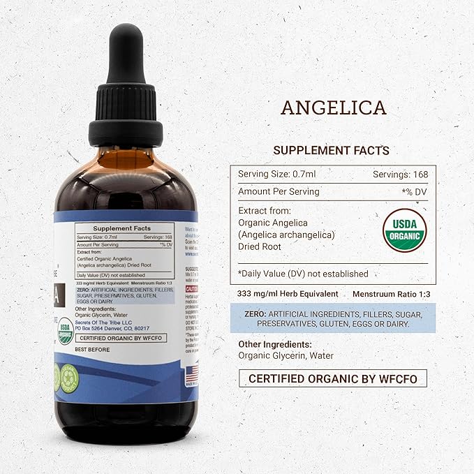 Secrets of the Tribe Angelica USDA Organic | Alcohol-Free Extract, High-Potency Herbal Drops | Made from 100% Certified Organic Angelica (Angelica archangelica) Dried Root (4 oz)