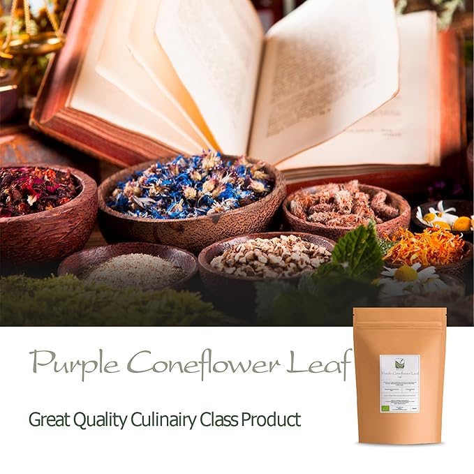 Purple Coneflower Herb Echenecia Tea - Immunity Support Tea - Echinacea Tea Coneflower Tea Echinacea Herb Purple Tea Echinacea Herb Dry Echinacea Dried Herb Echinacea Leaves Purple Echinacea Tea