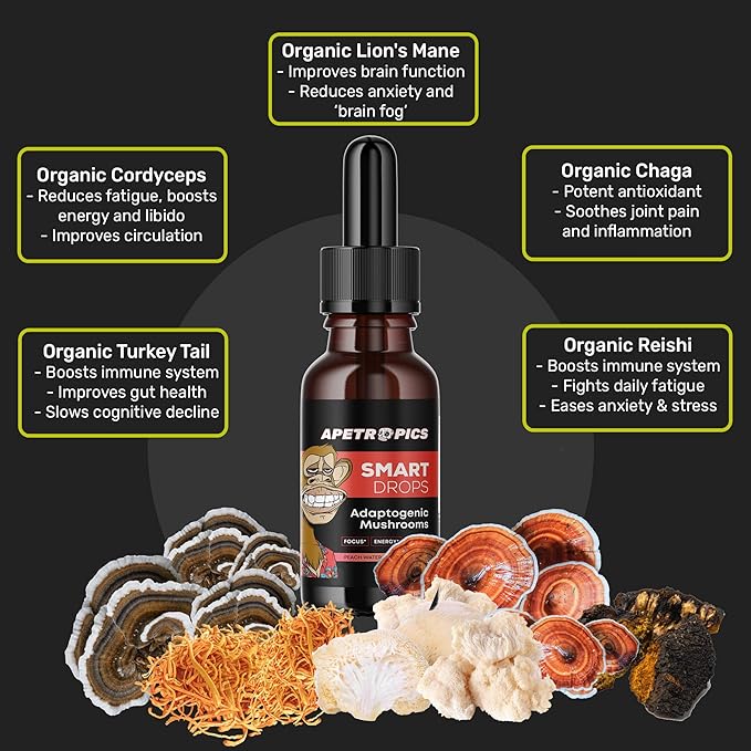 Apetropics Smart Drops - 5-in-One Adaptogenic Mushroom Tincture with Lion’s Mane, Cordyceps, Turkey Tail, Chaga, Reishi - Nootropic Brain Supplement - Peach Watermelon Flavor, 30-Servings (3 Pack)