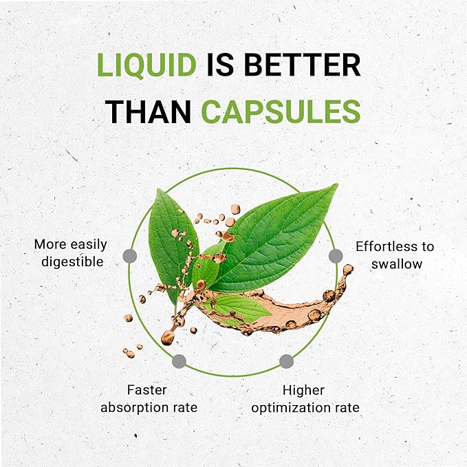 Secrets of the Tribe Oregon Grape Alcohol-Free Liquid Extract, Responsibly farmed Oregon Grape (Mahonia aquifolium) Dried Root (2 FL OZ)