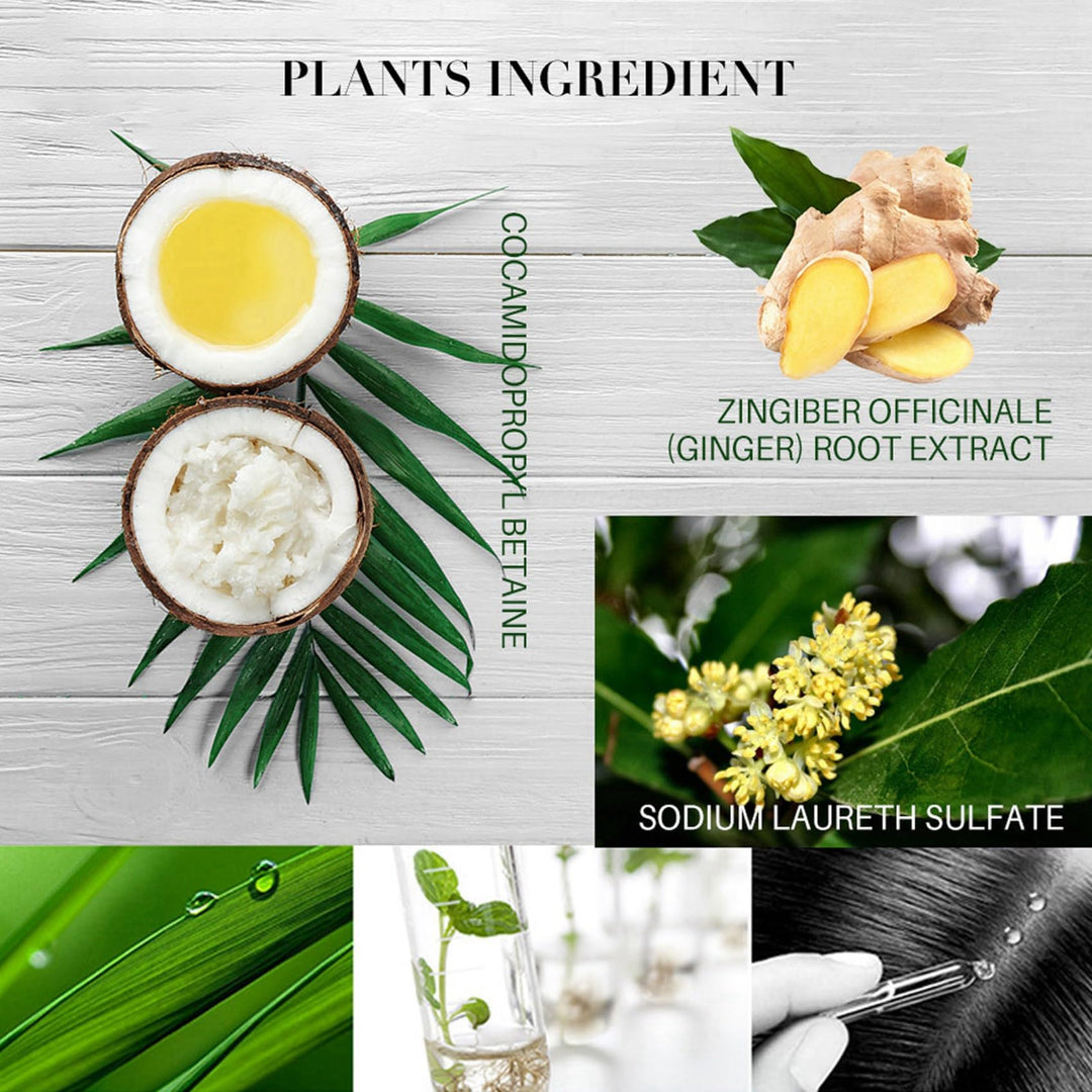 Ginger Shampoo, Ginger Shampoo For Hair Growth, Ginger Anti-Fall Shampoo, Ginger Anti-Hair Loss Hair Shampoo, Ginger Hair Regrowth Shampoo for Thicker, stronger, smoother, and more glossy Hair