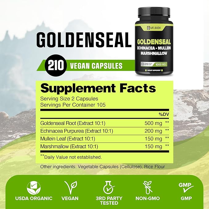 210 Capsules - Goldenseal Capsules Extract 10:1 with Echinacea, Mullein Leaf, Marshmallow - Combined Formula for Immunity, Respiratory Health, Digestion, Overall Well-Being, Body Management Support