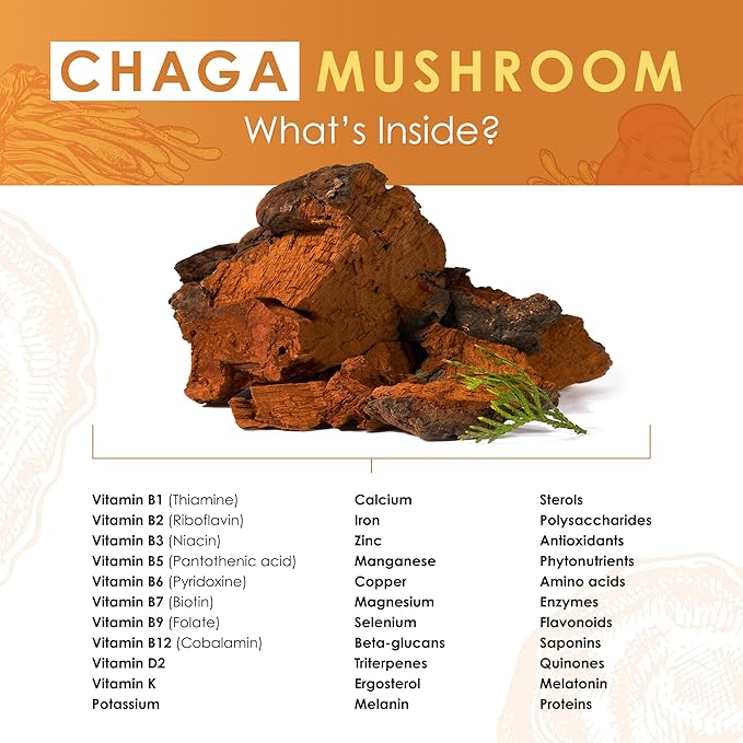 Chaga Mushroom Extract Powder - Organic Chaga Mushroom Extract for Digestion, Natural Energy, and Immune Support - Natural Supplement for Overall Wellness 60g