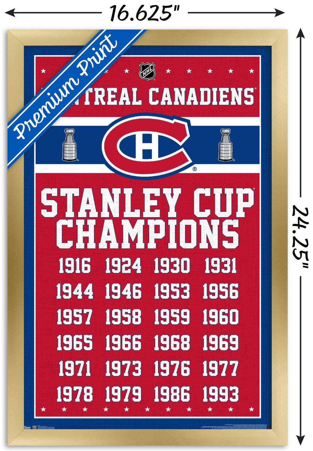 Trends International NHL Montreal Canadiens Champions 13 Wall Poster, 14.725" x 22.375", Gold Framed Version