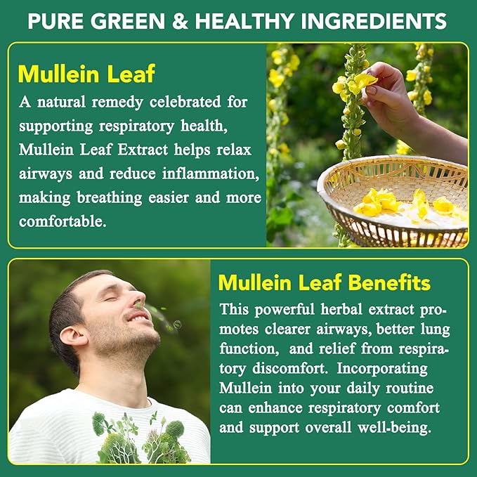 Mullein Gummies for Lung Detox,2000mg Mullein Leaf herb Extract for Lung Cleanse Support,Organic Mullein Herb Supplement for Daily Respiratory Health Gummies 60 Gummies