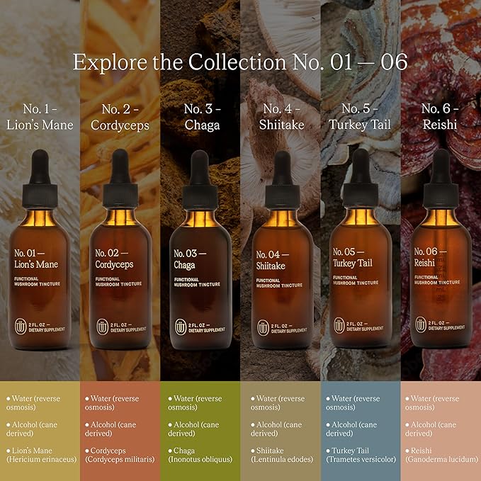 Lions Mane Extract - Double Extracted Fruitbody Mushroom Tincture, Natural Support for Mental Clarity, Brain Function, Memory, Cell Regeneration, Creativity & Mood (240 Servings)