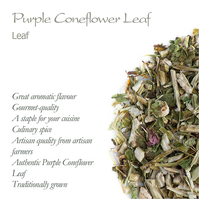 Purple Coneflower Herb Echenecia Tea - Immunity Support Tea - Echinacea Tea Coneflower Tea Echinacea Herb Purple Tea Echinacea Herb Dry Echinacea Dried Herb Echinacea Leaves Purple Echinacea Tea