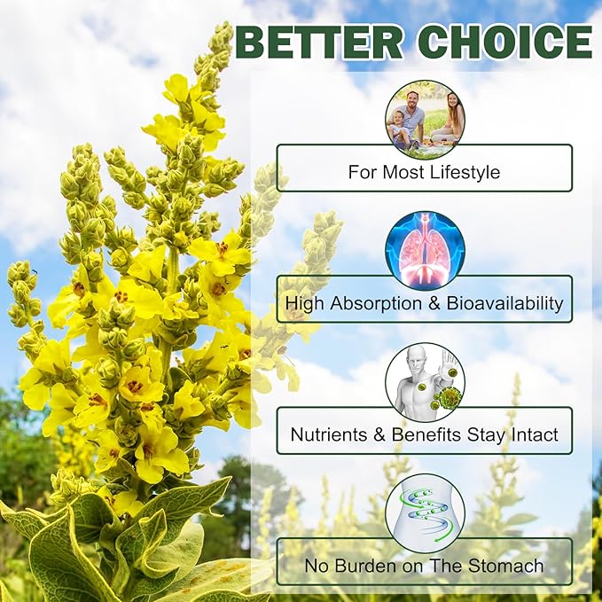 Mullein Gummies for Lungs, 2000 MG(50:1 Extract) Mullein Leaf Extract for Lung Cleanse and Respiratory Support, Natural Mullein Herbal Supplement, Pear Flavor Gummies 60 Count