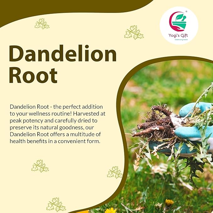 Dandelion Root 4 oz | Cut and Sifted Loose Root | by Yogi's Gift®