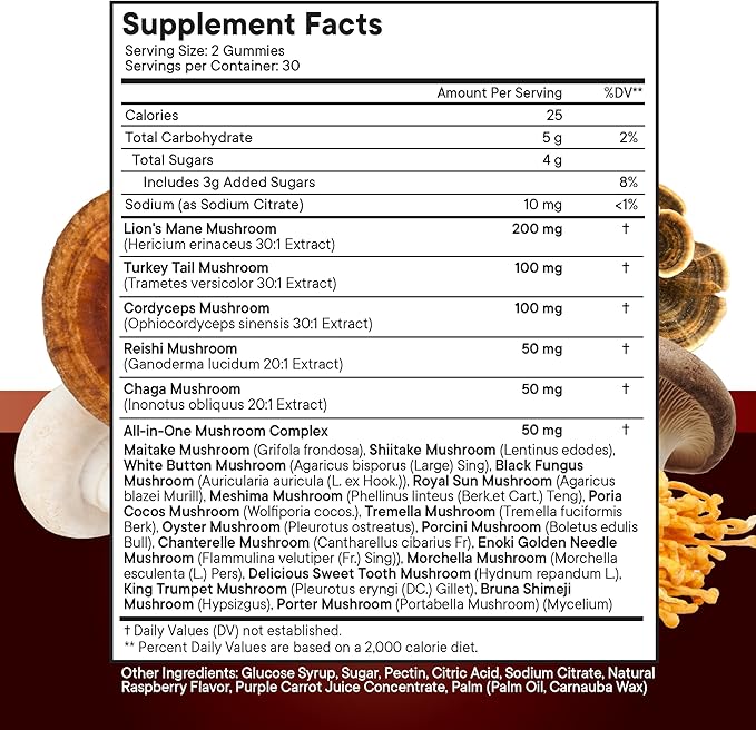 NEW AGE Mushroom Lion's Mane Supplement Gummies - Comprehensive Mushroom Supplement for Cognitive & Immune Support, with Reishi, Cordyceps - 120 Count