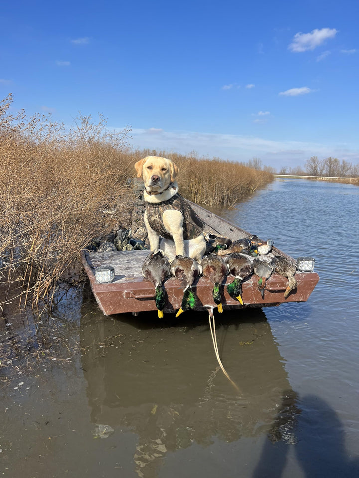 ALPS OutdoorZ Topflight Dog Vest, Dog Hunting Vest with 5mm Neoprene for Warmth, Contoured Neck Design, Buoyancy Flotation Pads, Easy Lift Handles, and Leash Clip, Large - Realtree MAX-7
