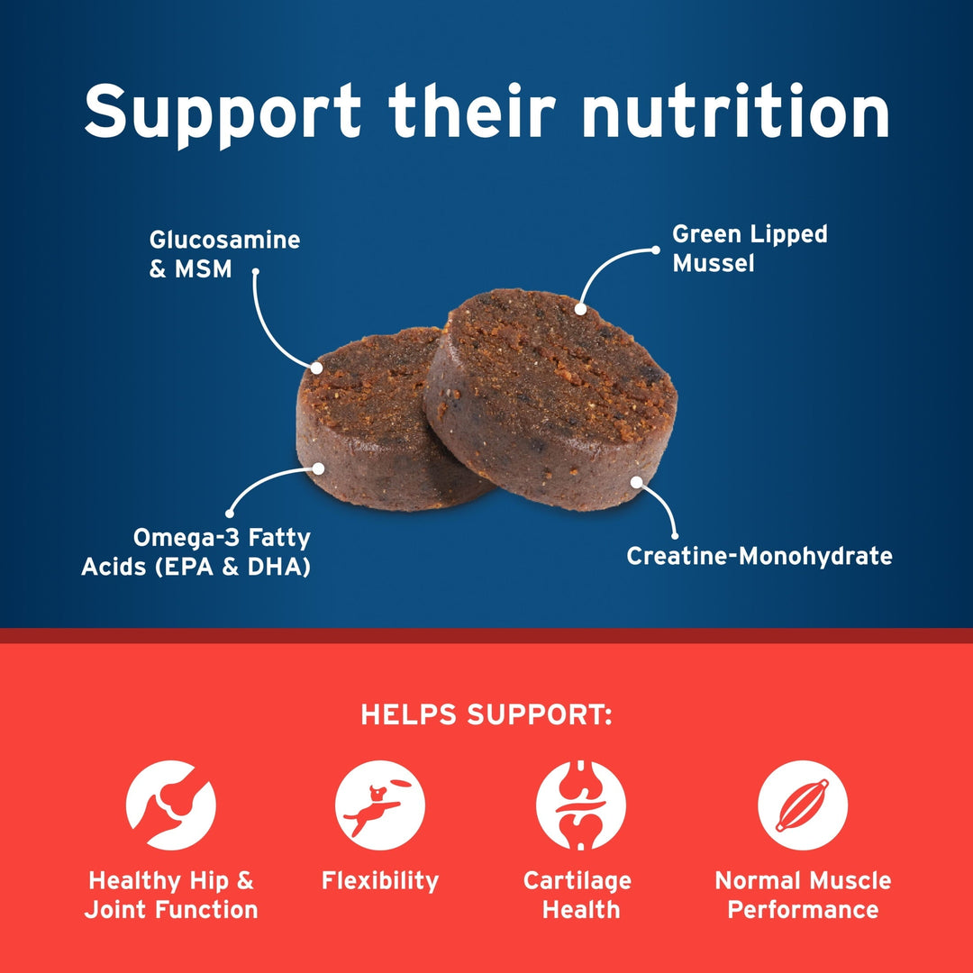 Pet Protect Vet-Formulated Hip & Joint Supplement for Dogs, 60 Chews for Joint Care