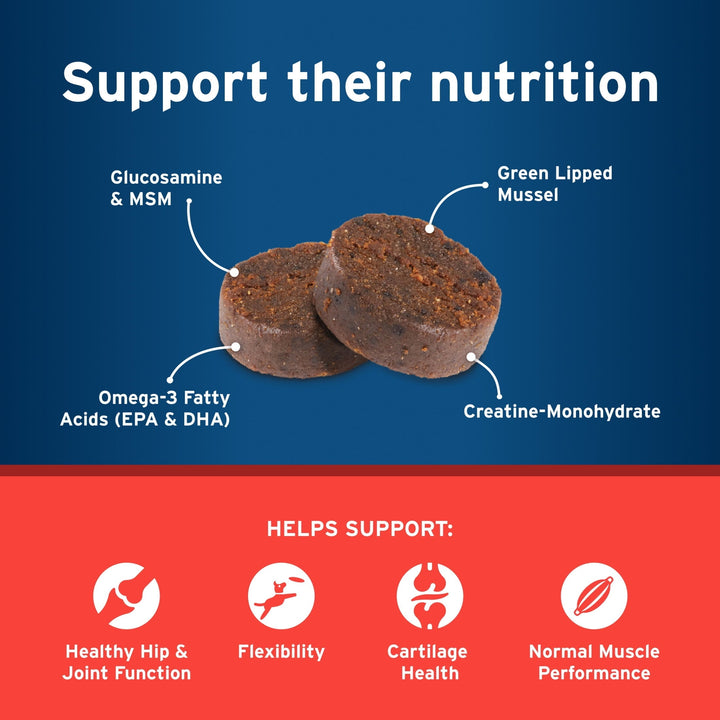 Pet Protect Vet-Formulated Hip & Joint Supplement for Dogs, 60 Chews for Joint Care