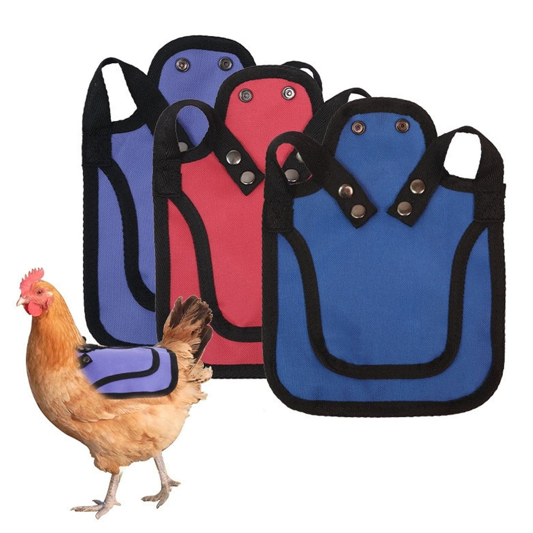 3Pcs Chicken Saddles for Hens - Adjustable Hen Aprons with Side & Back Protection, Comfortable Poultry Feather Protector Vests for Roosting & Mating (Red/Blue/Purple)
