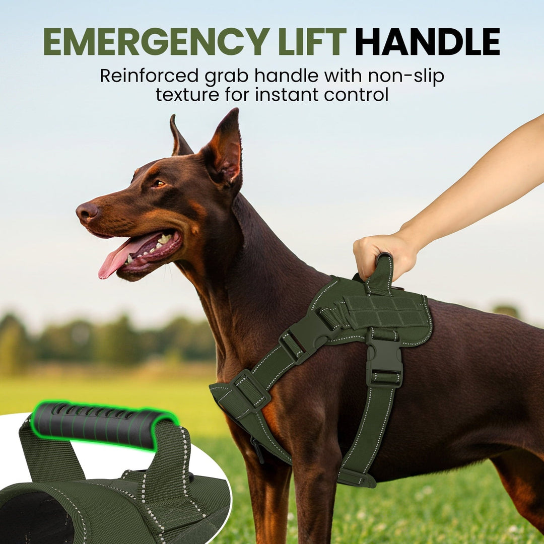 PcEoTllar No Pull Dog Harness for Small Dogs, Reflective Dog Vest Harness with Handle, Adjustable Easy on Dog Harness for Training Running Walking, Green S