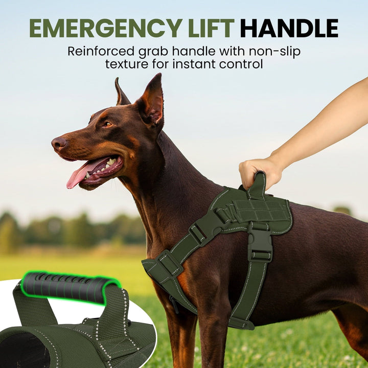 PcEoTllar No Pull Dog Harness for Small Dogs, Reflective Dog Vest Harness with Handle, Adjustable Easy on Dog Harness for Training Running Walking, Green S