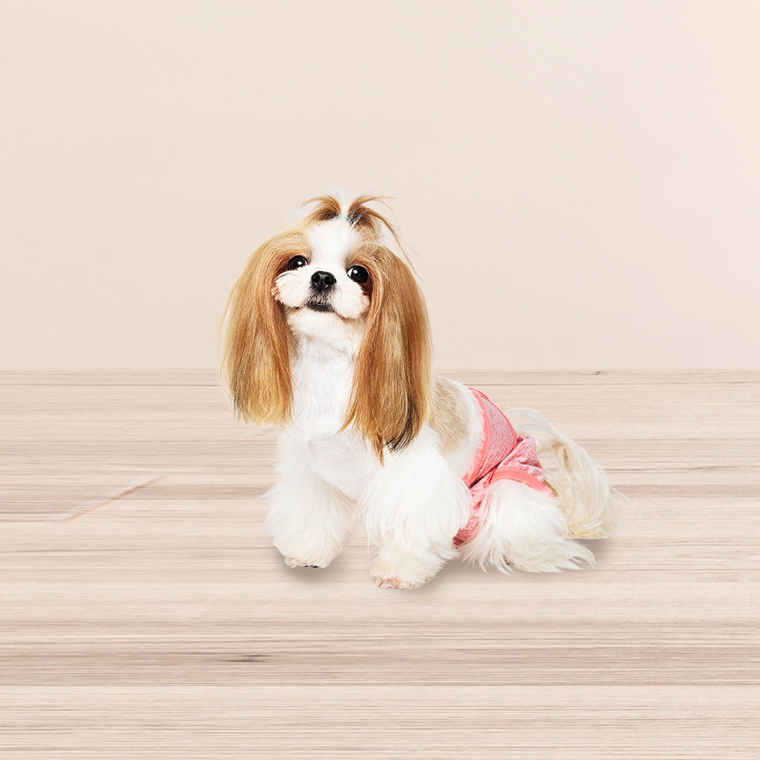 Vibrant Life Washable Dog Diapers for Female Dogs, S, 3 Count