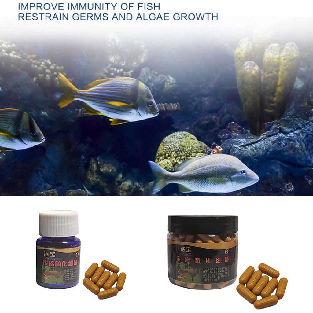 WINDLAND Aquarium Nitrifying Bacteria Super Concentrated Capsule Fish for Tank Pond Cleaning Water Purifier Supplies