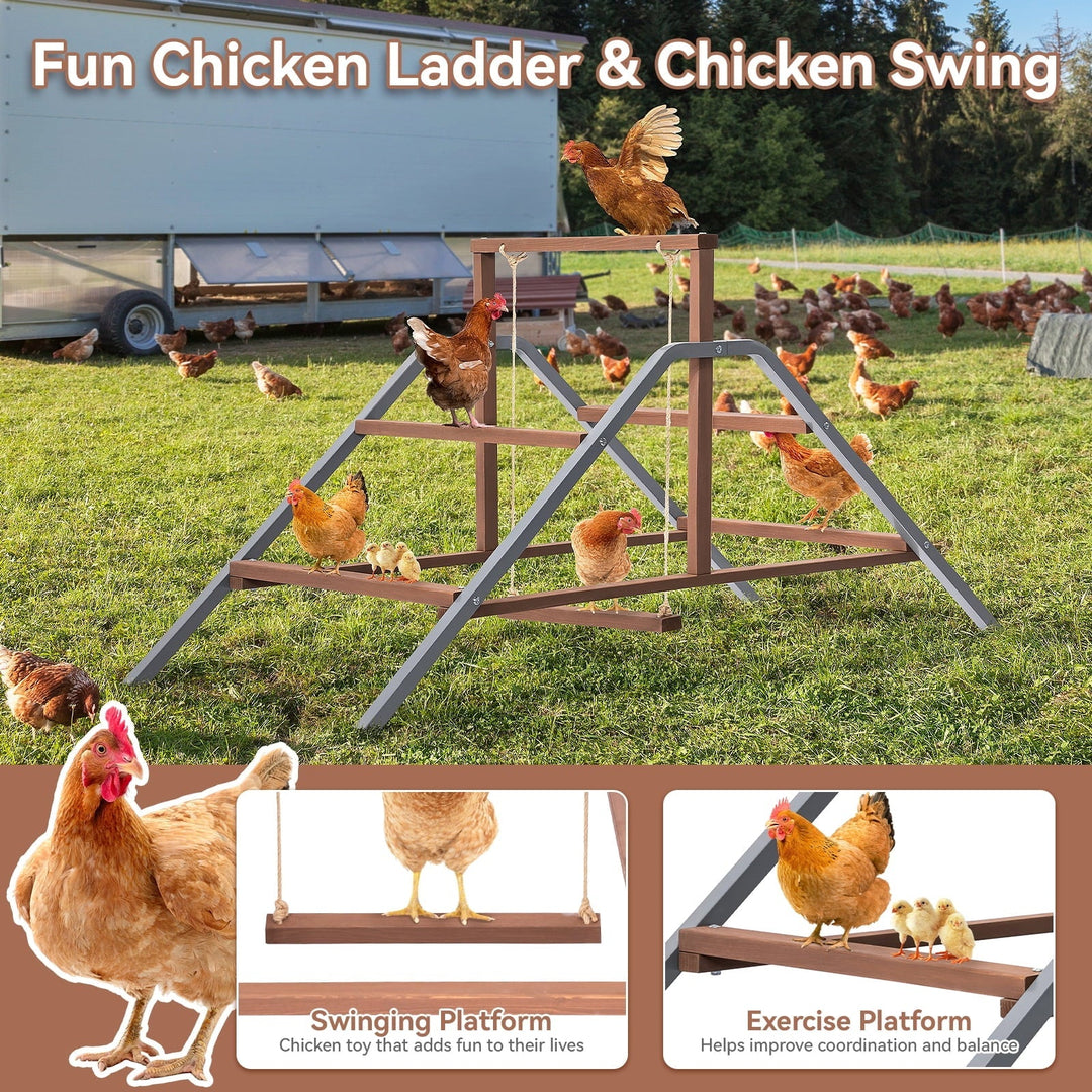 PETSFIT Chicken Perch Ladder-Solid Wood and Rustproof Iron Design, Chicken Ladder with Swing for Healthy Poultry-Ideal for Backyard Coops, Farms, Easy to Assemble and Clean