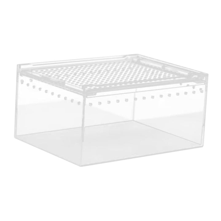 TOOYFUL Reptile Breeding Box Acrylic Animal Habitat Cage for Turtle Geckos Container 20cmx15cmx10cm