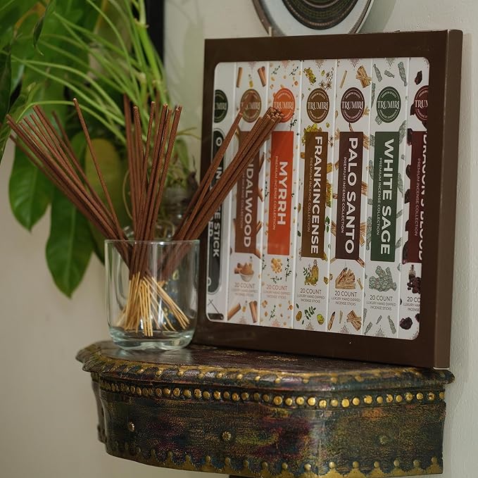 Woody Incense Sticks Variety Pack - 120 Insence-Sticks (6 Incents x 20 Insense) - White Sage Palo Santo Dragons Blood Sandalwood - Natural Inscents-Sticks Non Toxic Cleansing Incienso + Burner Holder