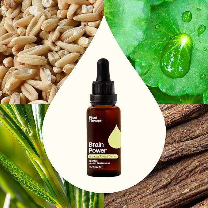 Plant Therapy Organic Brain Power Tincture 30 mL (1 oz) Supports Brain Focus & Clarity, Helps Mental Alertness & Memory, Brain Boost Supplement Packed with Benefits