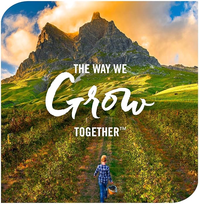 Nature’s Way Sambucus Zero Sugar Traditional Immune Syrup, Highly Concentrated Black Elderberry Extract, Traditional Immune Support*, Sugar-Free, Berry Flavored, 8 Fl Oz (Packaging May Vary)