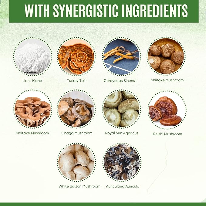 100% Pure Mushroom Supplement for Immune, Energy, Clarity, Cognition, Memory, Nerves Support - Lions Mane, Cordyceps, Reishi, Turkey Tail with Powerful Mushroom Blend