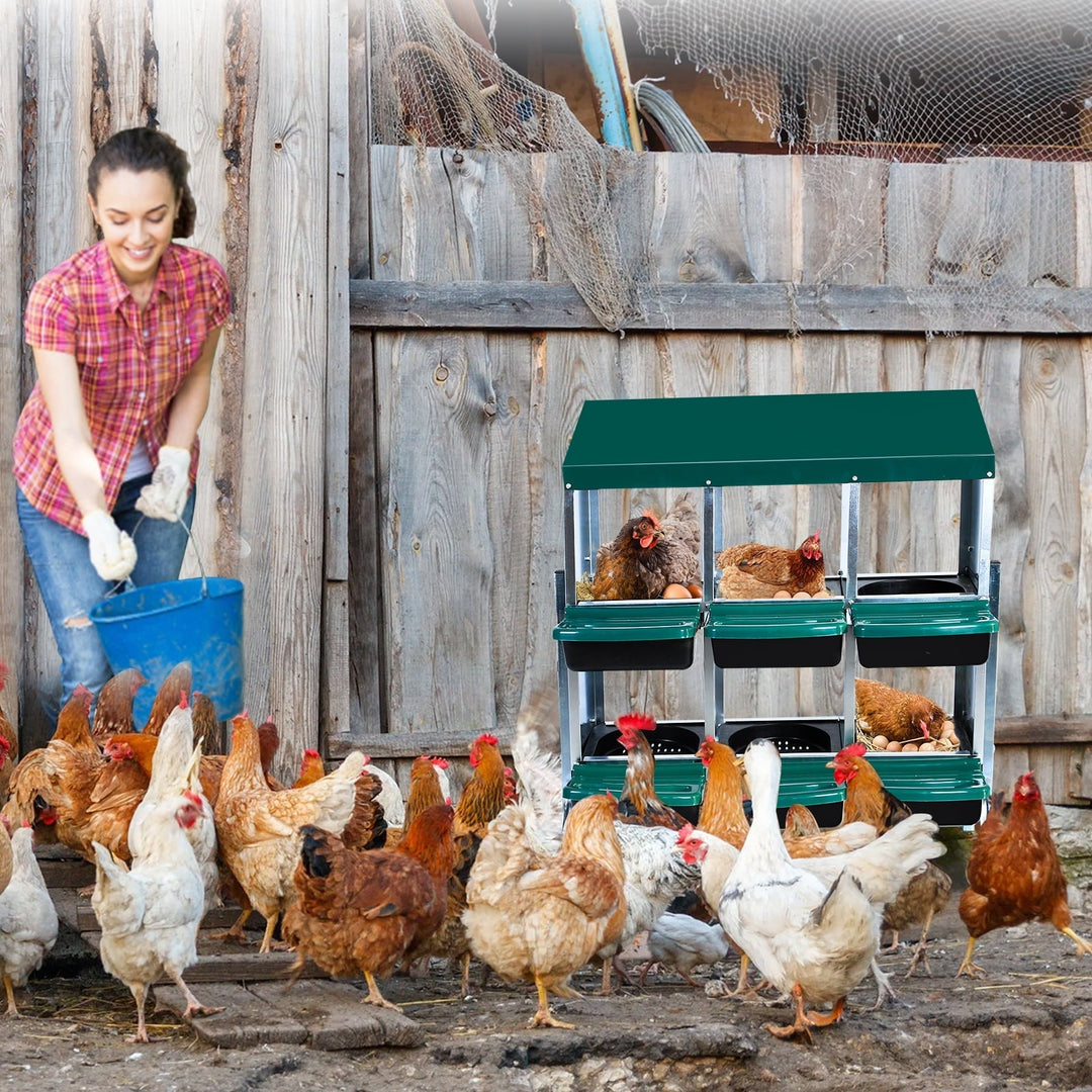 M optimized Chicken Nesting Box with 6 Compartments & Bracket Legs, Roll Away Laying Boxes for Hens, Lid Cover for Chicken Coop