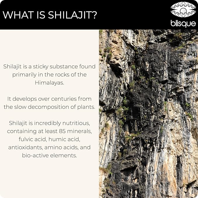 Blisque – Pure Himalayan Organic Shilajit Resin Supplement | Authentic and Natural | Golden Grade A | Contains Fulvic Acid and Trace Minerals | 30 Grams