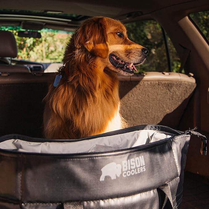 Bison Coolers Softpak Series, Made in USA, Soft Cooler Bag Insulated Leak Proof for Beach, Travel, Camping, Picnic, Car, Trips, 24+ Hour Ice Retention