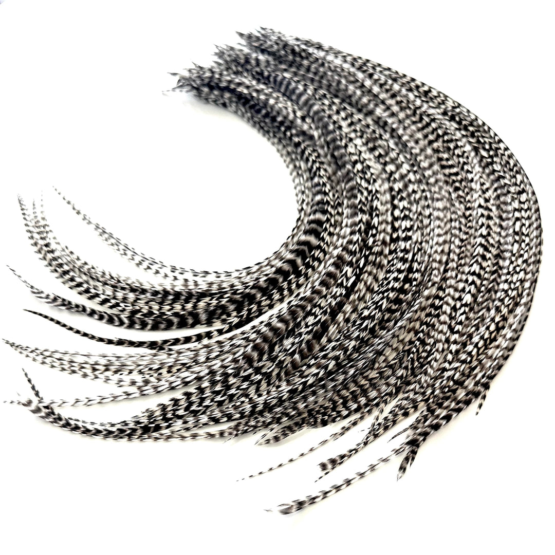 50 Grizzly Color Hair Feathers - 9”- 14” Long - Feathers for Hair Extension, Hair Extension DIY Kit - Eye-Catching Design - 50 Micro-link Beads - 100% Real Rooster Feathers