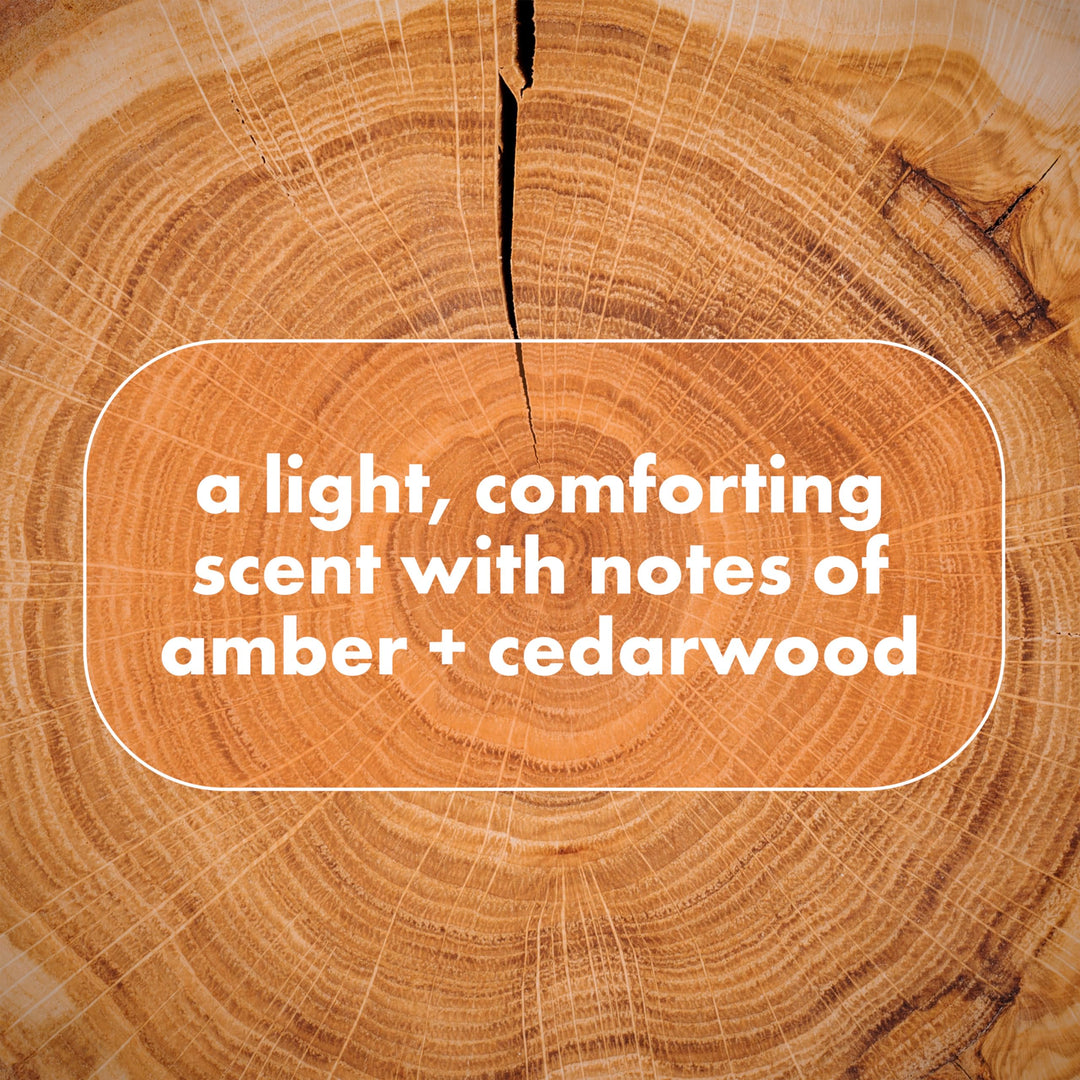 Dove Men+Care Whole Body Deo Aluminum-Free Deodorant Spray Shea Butter + Cedar Suitable from Pits, Privates, to Feet with Vitamin E 4 oz