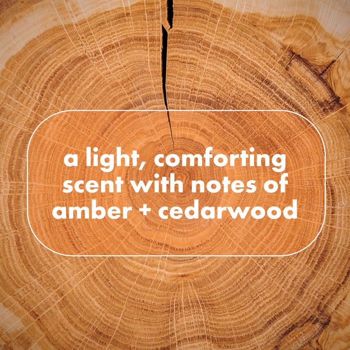 Dove Men+Care Whole Body Deo Aluminum-Free Deodorant Spray Shea Butter + Cedar Suitable from Pits, Privates, to Feet with Vitamin E 4 oz