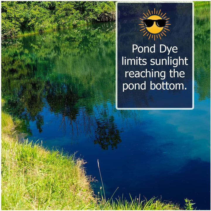 Midnight Blue Pond Dye Packets - 6 water soluble packs of Lake Dye Treatment