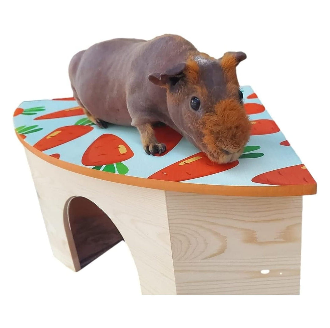 The Space House All Natural Sturdy Pine Wood Corner Hideout Hidey Guinea Pig Hut (Carrots)