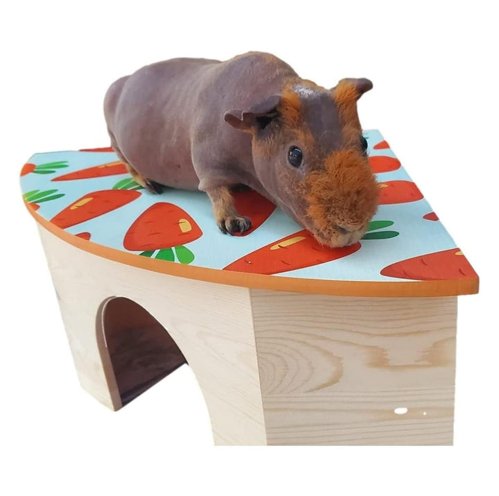 The Space House All Natural Sturdy Pine Wood Corner Hideout Hidey Guinea Pig Hut (Carrots)