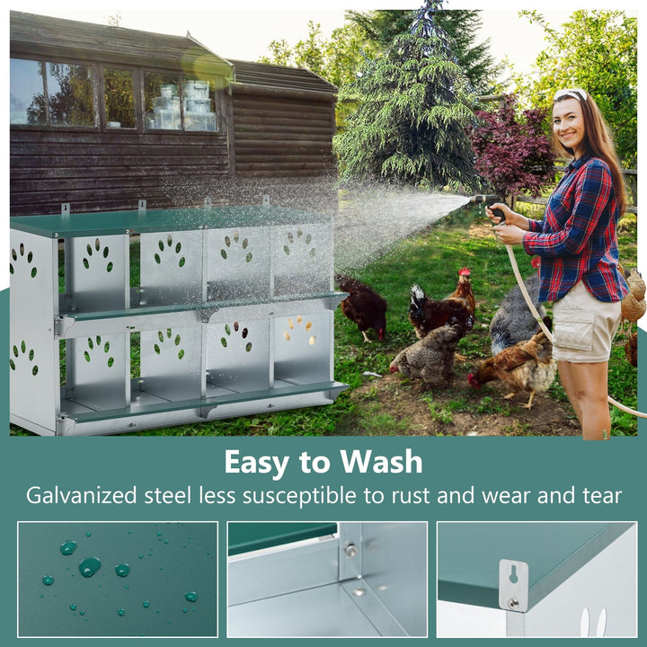 Chicken Nesting Box 8 Compartment Chicken Egg Laying Box Egg Collection