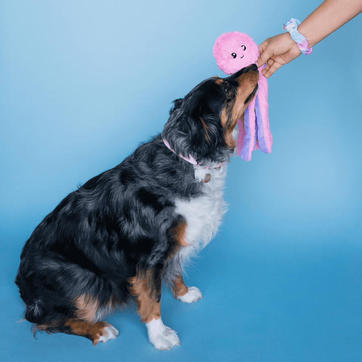 Bundle x Joy Octopus Crinkle Legs Plush for Dogs with Squeaker & Crinkle for Added Joy