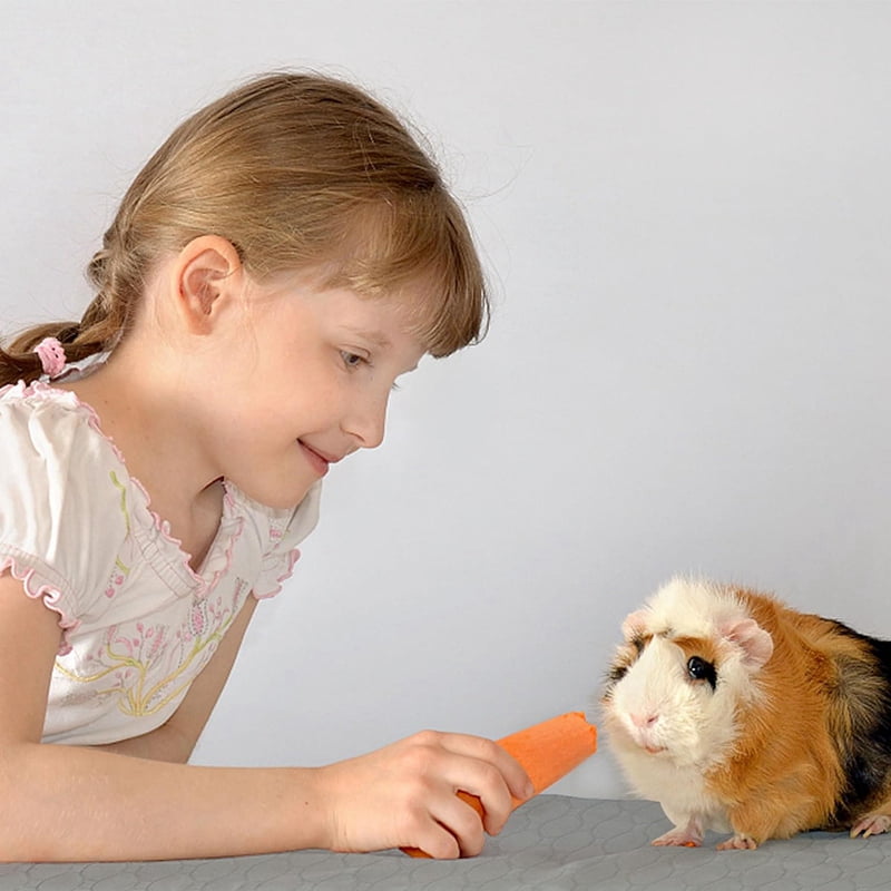 Guinea Pig Cage Liners, Washable , Waterproof Reusable & Anti Slip, Absorbent Bedding 2Pcs