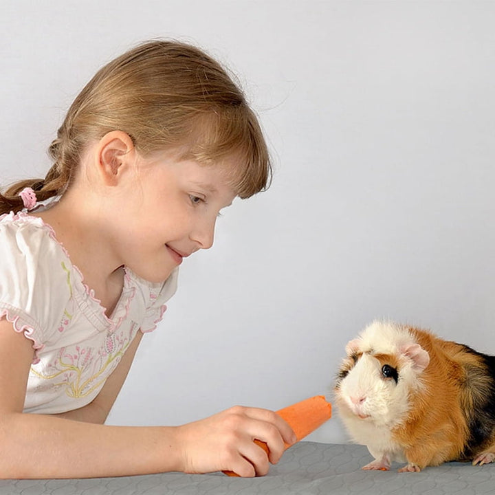 Guinea Pig Cage Liners, Washable , Waterproof Reusable & Anti Slip, Absorbent Bedding 2Pcs